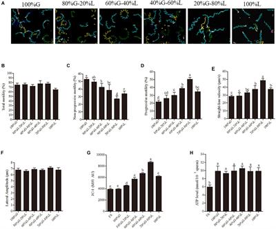 Gene Expression and Protein Synthesis in Mitochondria Enhance the Duration of High-Speed Linear Motility in Boar Sperm